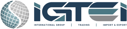 IGTEI LLC